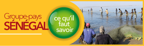 So coopération échange entre les acteur qui interviennent au Sénégal