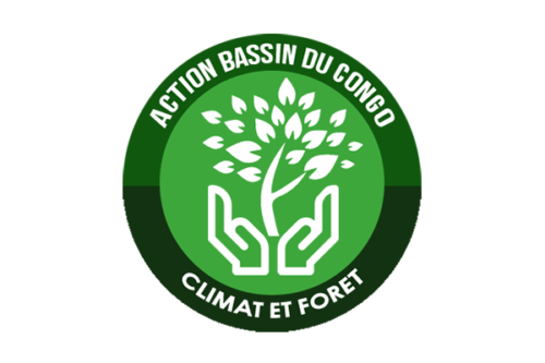 Action Bassin du Congo Climat et Forêt