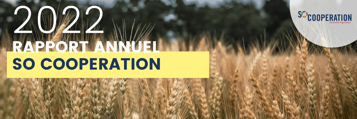 Rapport annuel 2022